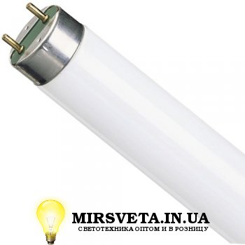 Лампа люминесцентная 30W TL-D 30W/33-640 G13 Philips
